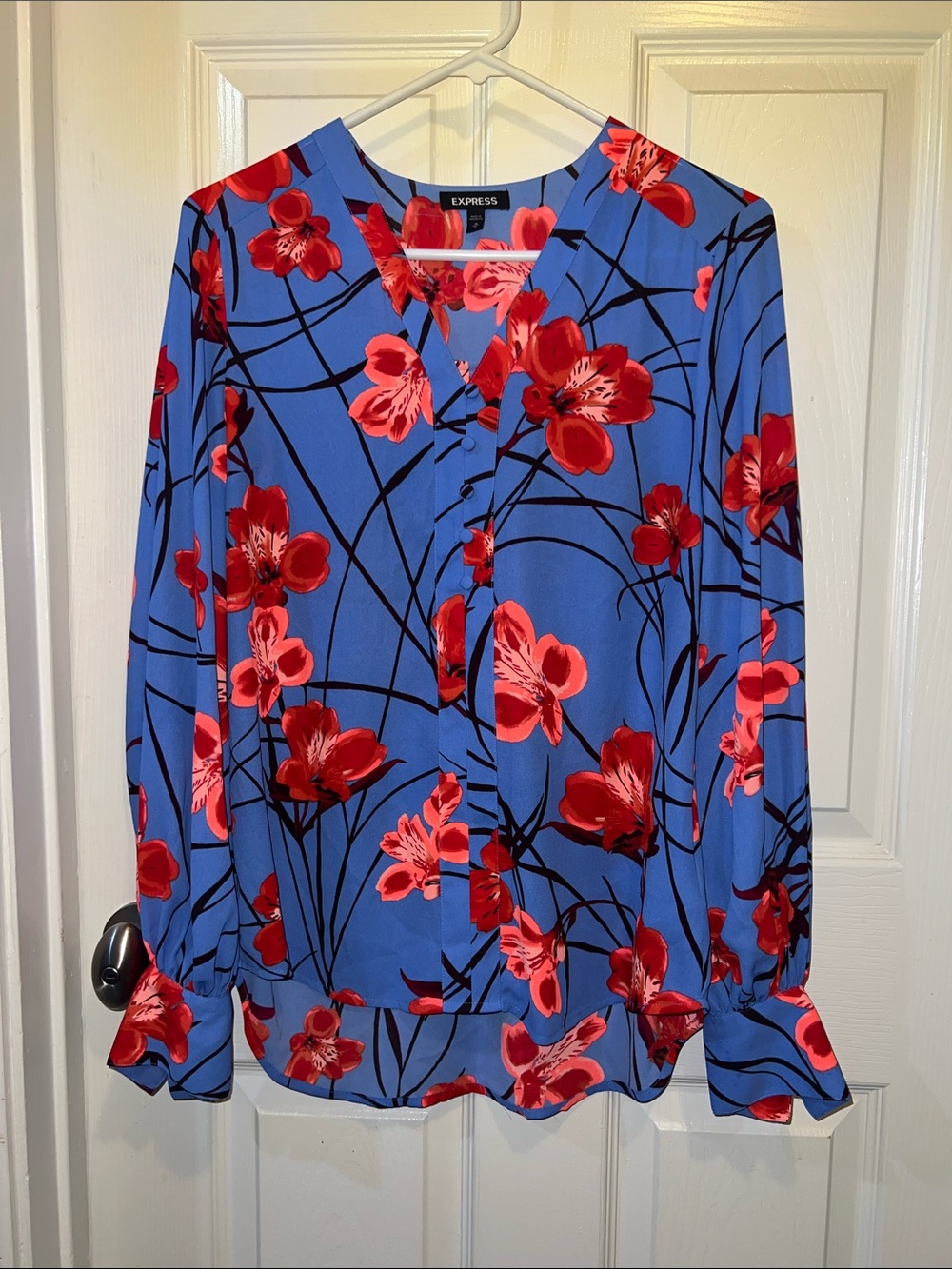 Express Blue V-Neck Blouse with Red Floral Print